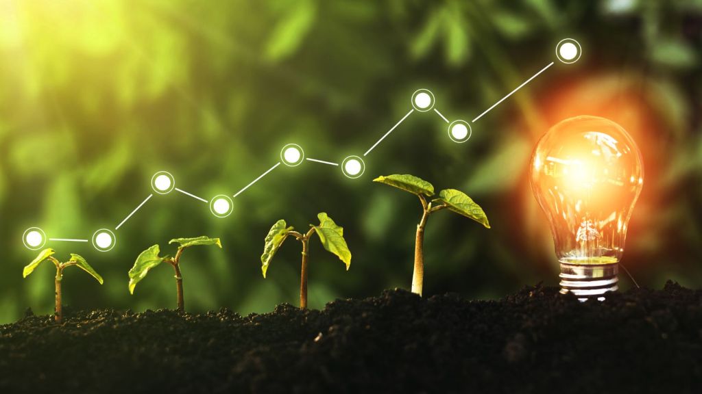 The Role of Healthcare Incubators and Accelerators in Cultivating&nbsp;Success